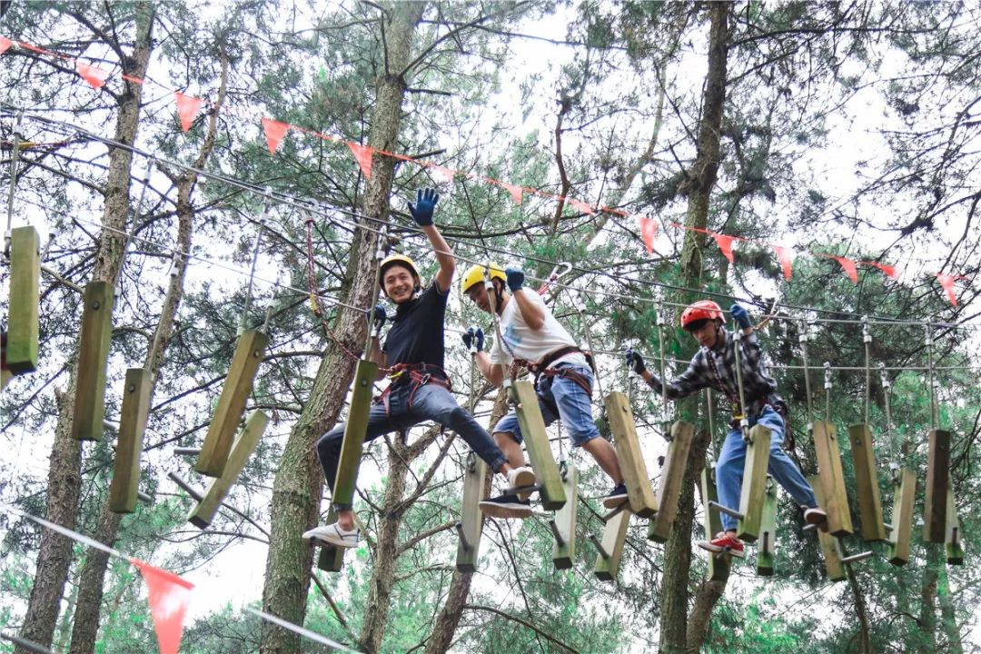 不去清邁就能飛躍叢林，現代「泰山」帶你樹冠漫步，超刺激！ 旅遊 第6張