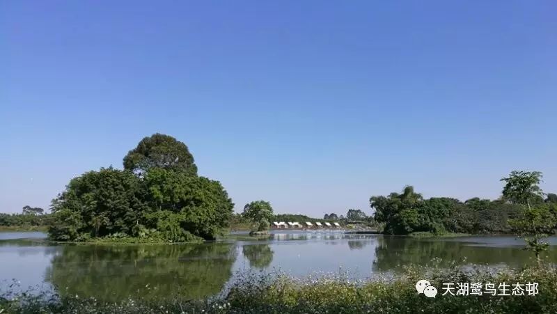 導演黎志勇 天湖生態度假村 地址:肇慶市鼎湖區沙浦鎮天湖鷺鳥生態邨