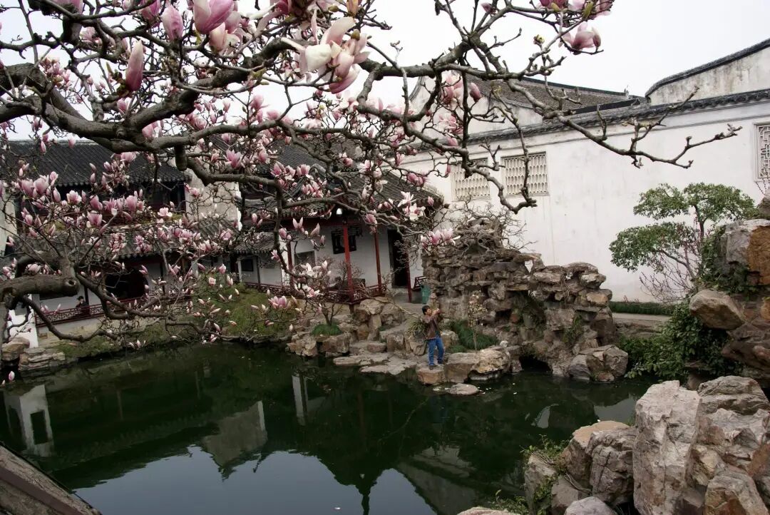 平面图园林手绘_寄畅园平面图_寄畅园五十景图