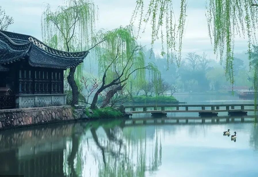 立春南国向来和春住此时更芳菲