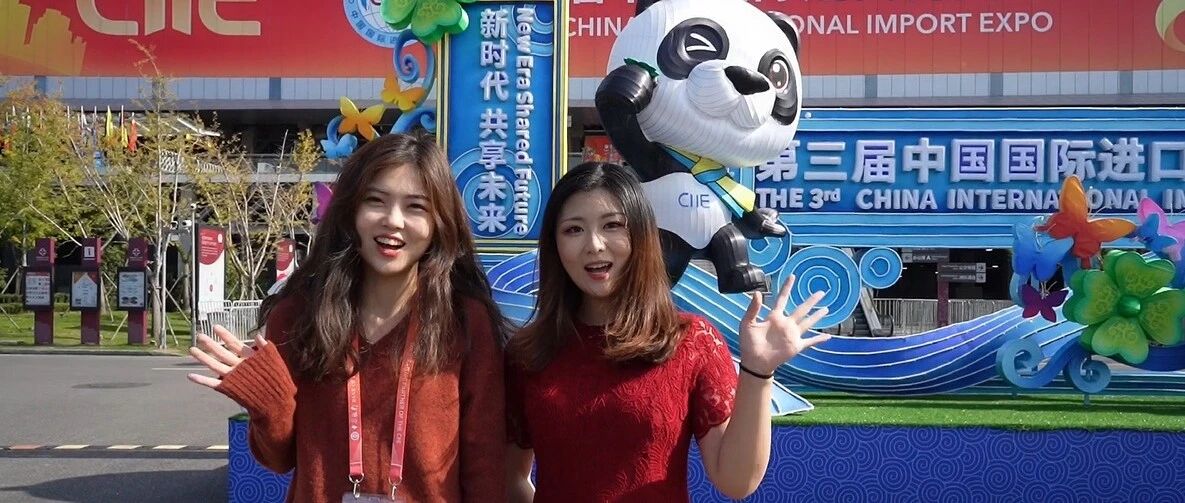 走！去看这届进博会