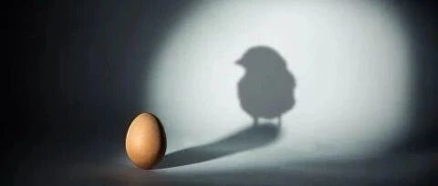 [岛叔说]熟鸡蛋能返生?开什么玩笑!