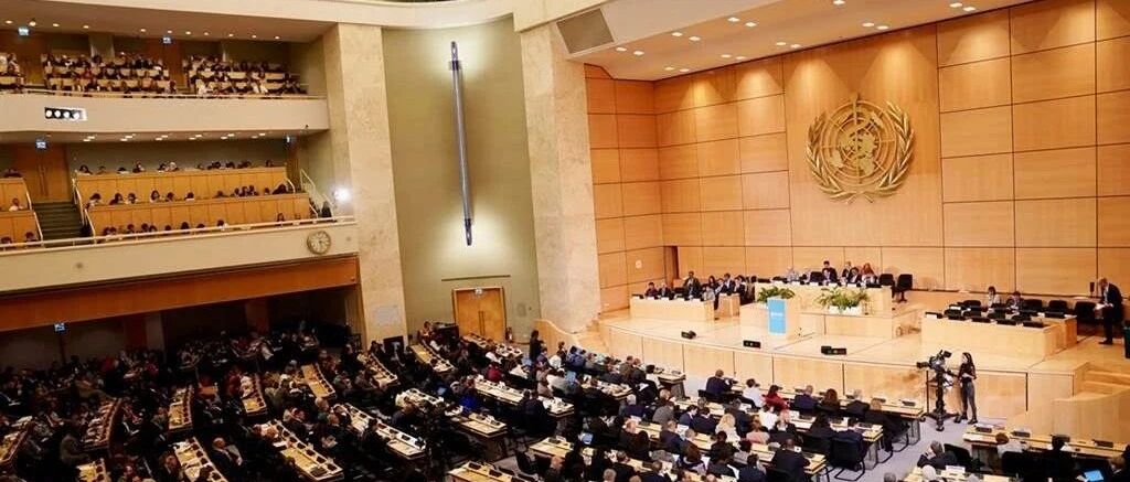 【解局】果然，民进党又在炒作这事了