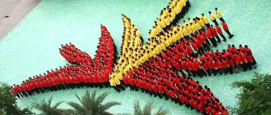 很好！一个都不要放过