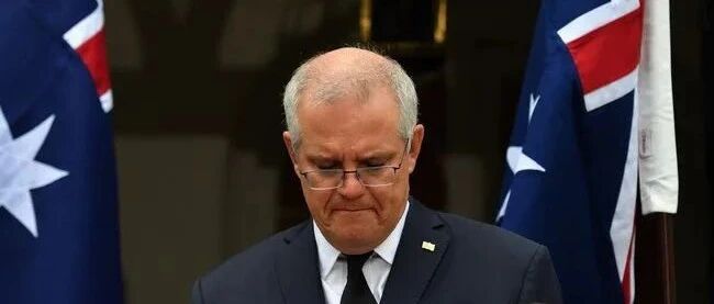 【岛妹说】确认过眼神，那是莫里森拦不住的一群人