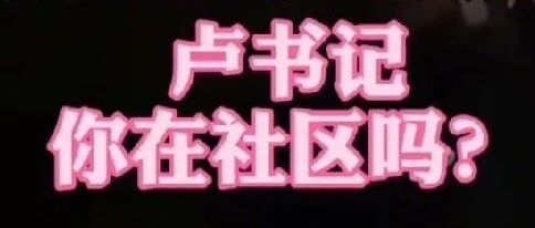 【岛叔说】卢书记该咋办？