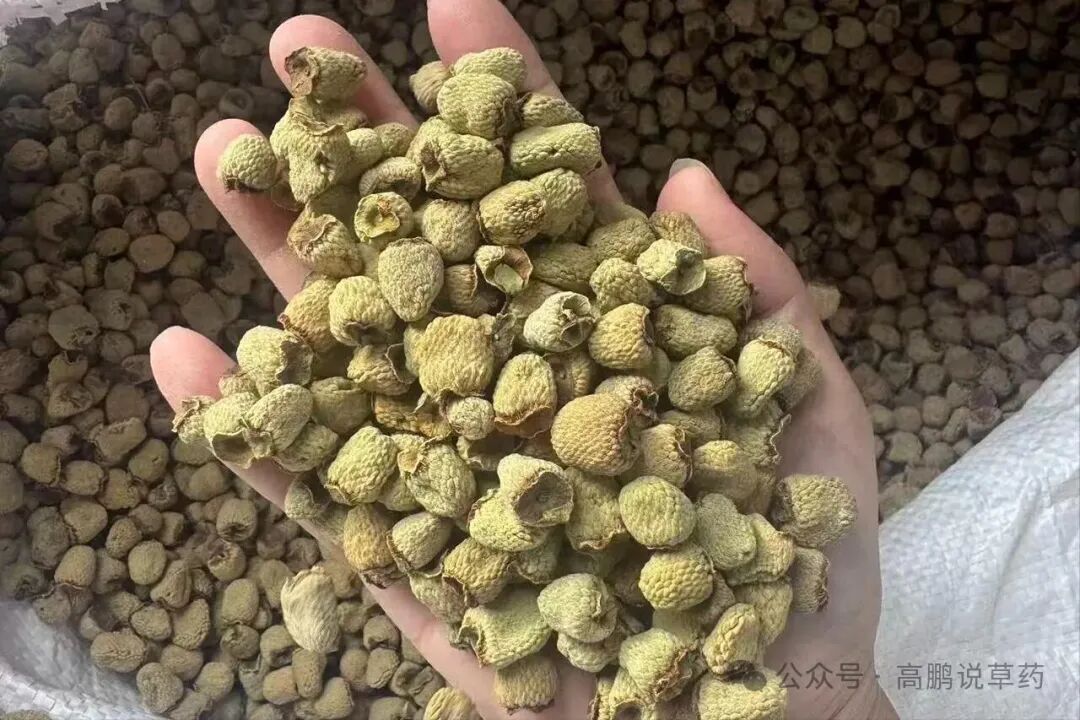 跌跌跌！这些药材跌得人没脾气