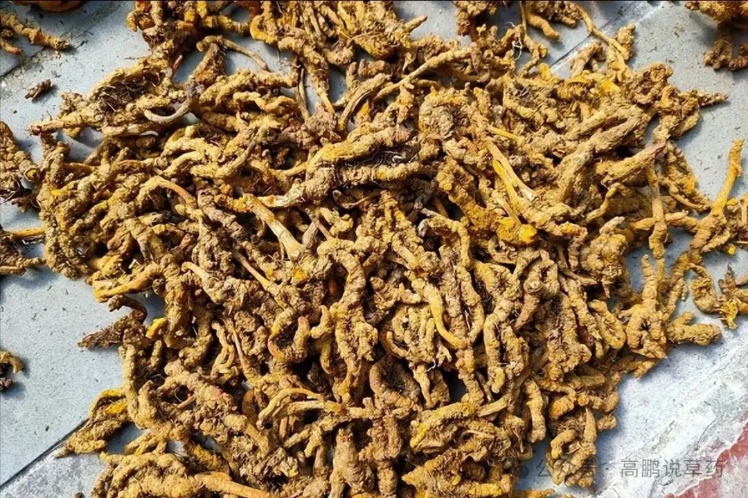又跌了！黄连、茉莉花、柏子仁，涨过的也扛不住了