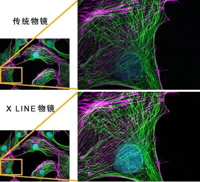 IXplore Live for Luminescence 系統(tǒng)