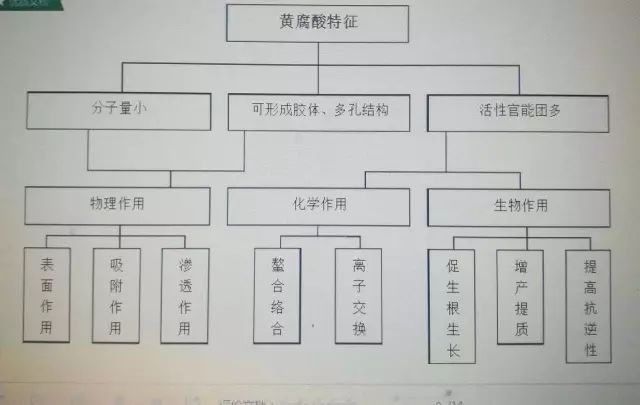 黄腐酸分子结构图片