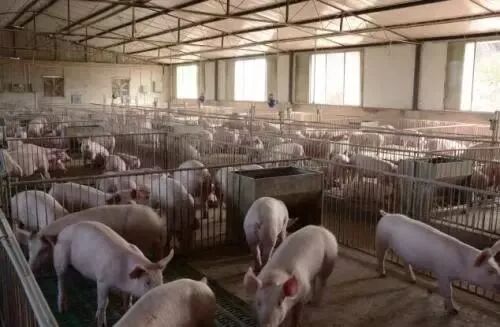 畜禽糞肥料化利用箭在弦上