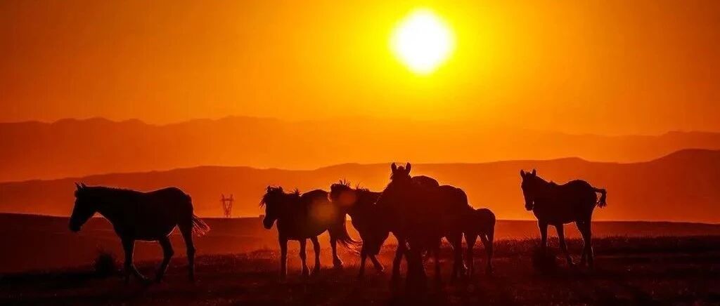 高清图集！这里是新疆！