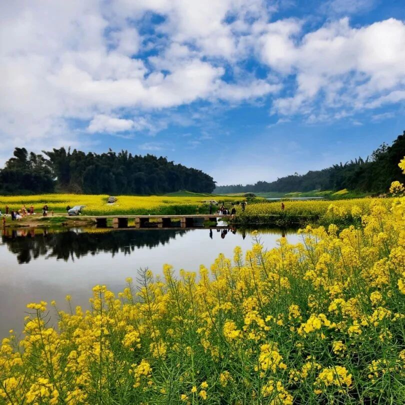 “微度假”渐成旅行新潮流