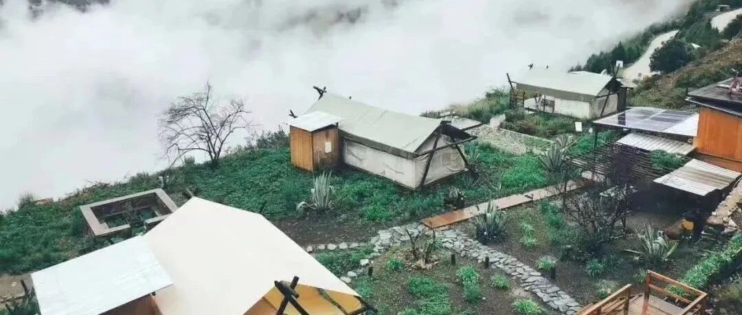 听说年轻人都去露营了？