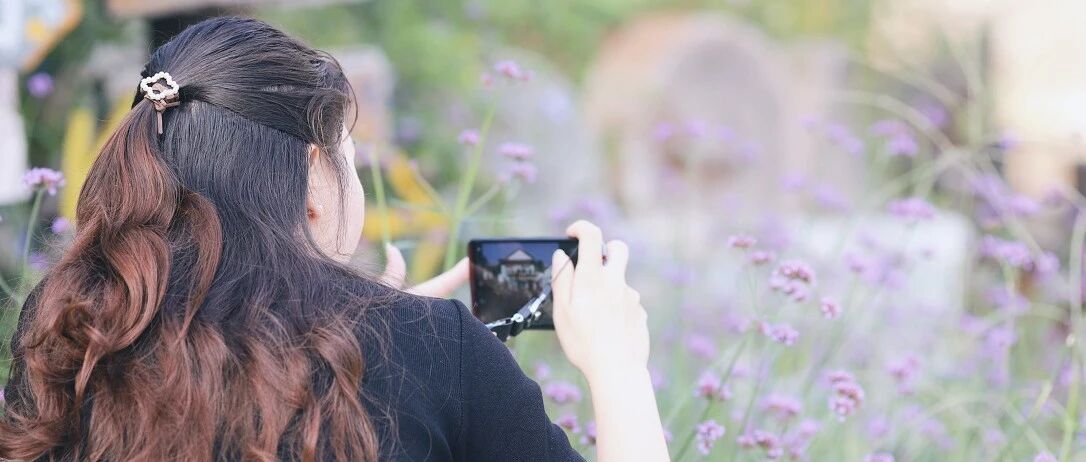 “沉睡”的张西迎春天