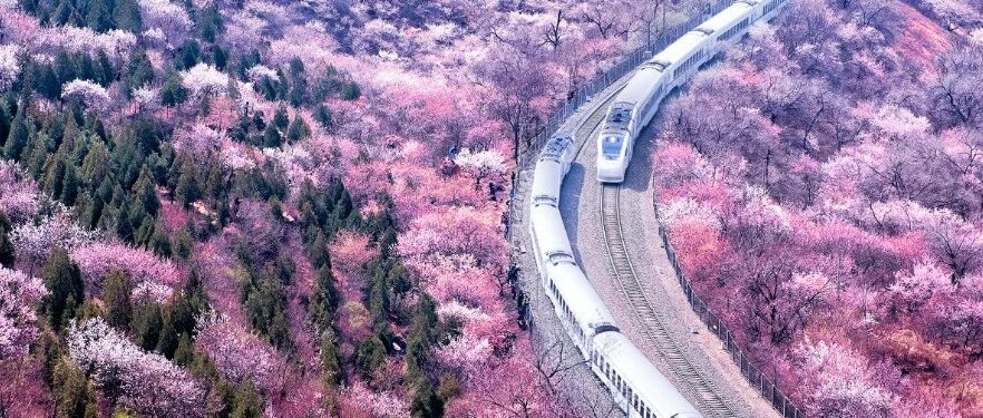 长城花海打卡攻略在这里！