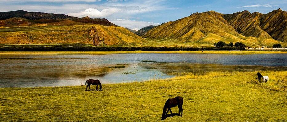 住进山水田园里！2021年报告看乡村旅游热门目的地