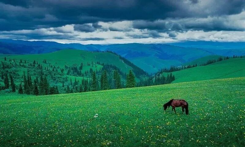 独库公路有多美，只有来过才知道......