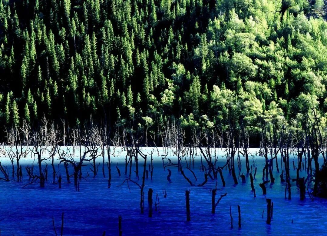 独库公路有多美，只有来过才知道......