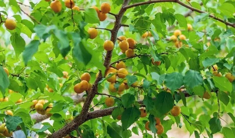 独库公路有多美，只有来过才知道......