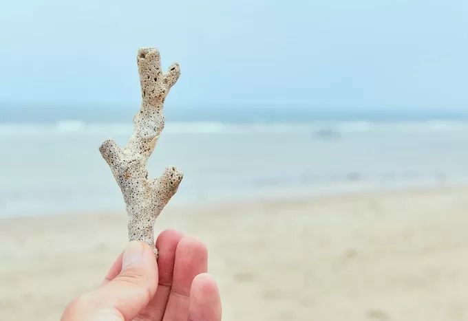 今年冬天，一定要去潿洲島！ 旅遊 第10張