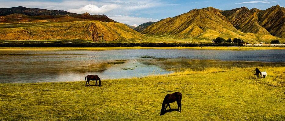 收好这份最新最全国家5A级景区名单↓