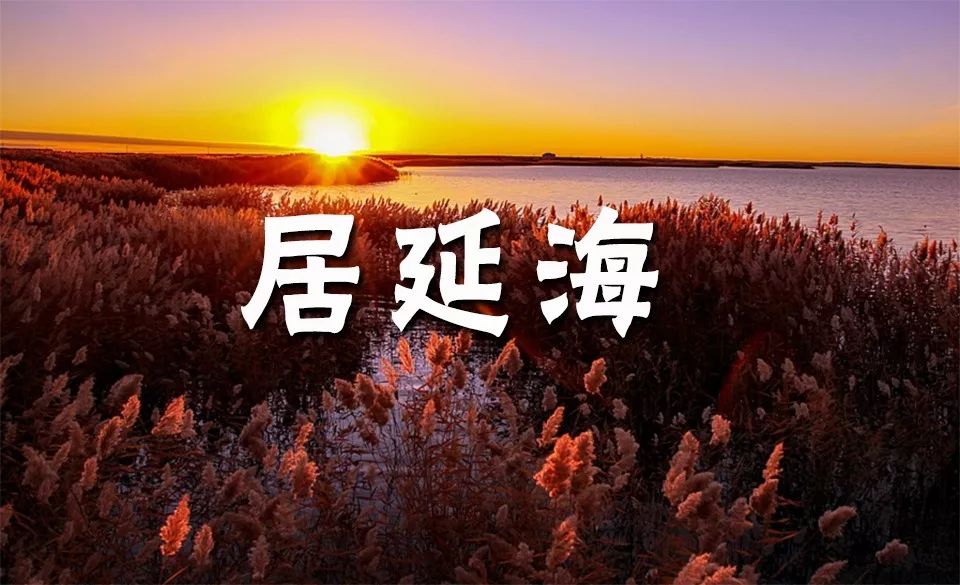 居延海，見過最美的日出就是你了！ 旅行 第2張