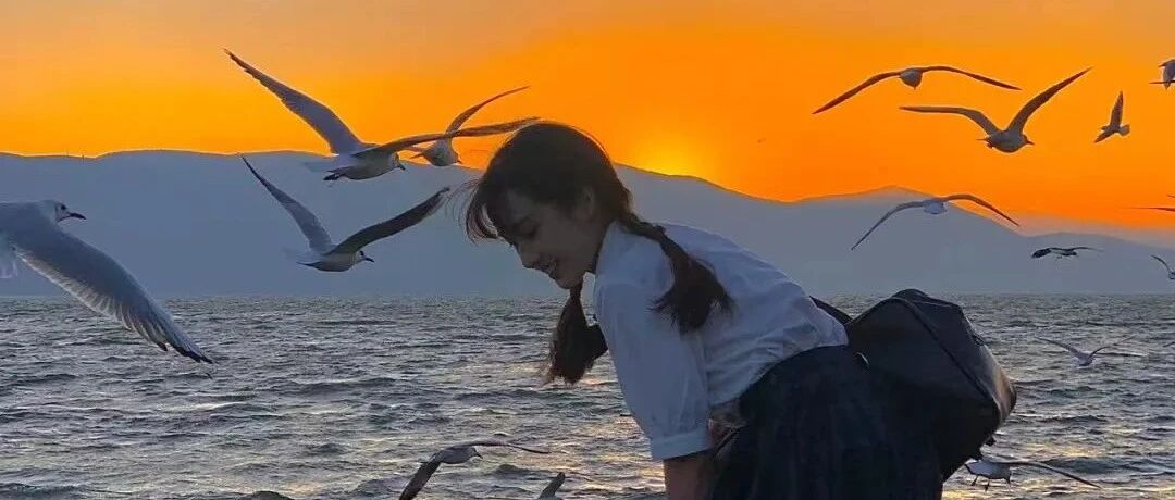 整治后的云南旅游今天咋样了？