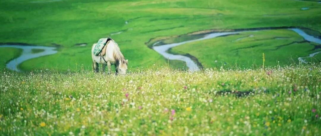 甘南全域旅游免门票！