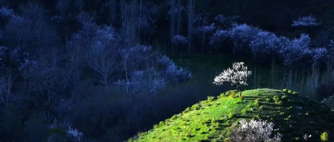 这里是新疆伊犁！