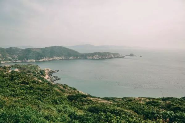 把心留在這座妙趣小世界——舟山花鳥島三天放空之旅 旅行 第26張