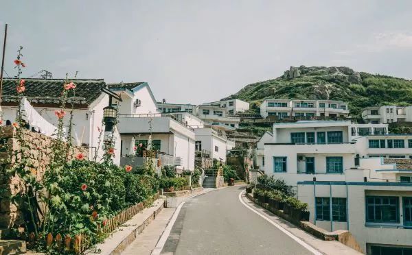 把心留在這座妙趣小世界——舟山花鳥島三天放空之旅 旅行 第17張