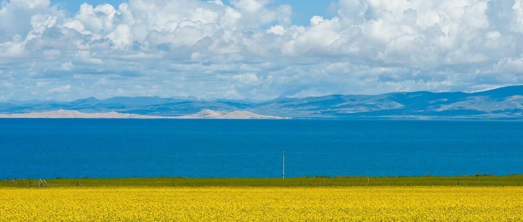 全国赏春花时间表出炉！你的家乡上榜了吗？