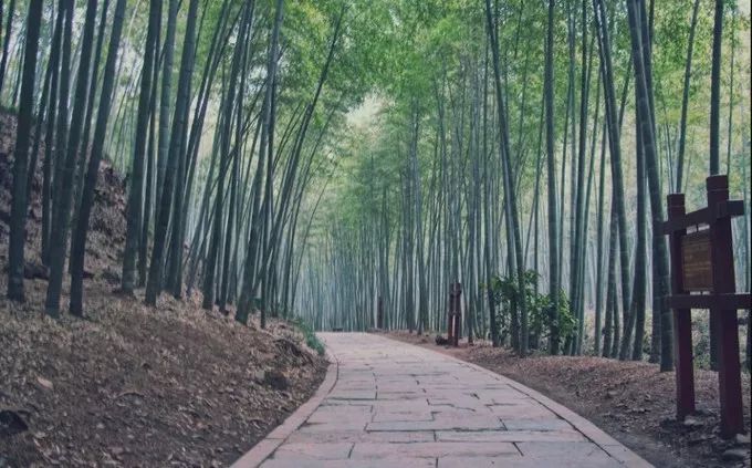 江蘇溧陽，不輸蘇杭！ 旅遊 第2張