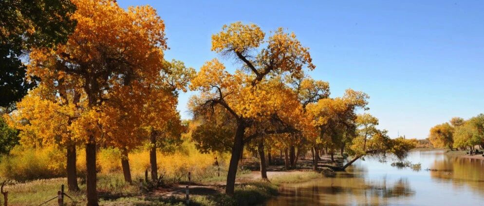 近万名游客因疫情滞留！额济纳实际情况如何？