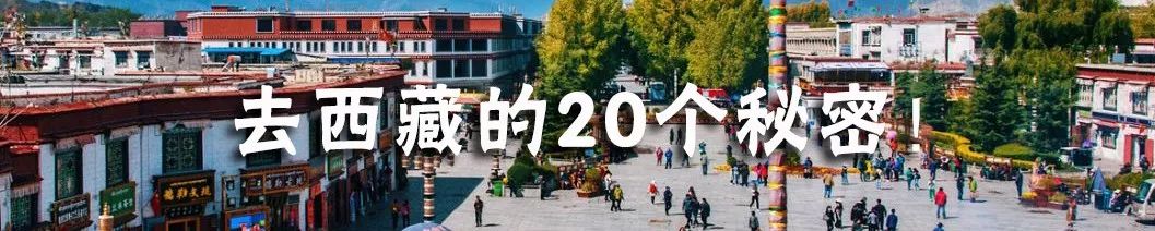 下一站！去看安徽的秋！ 旅遊 第20張