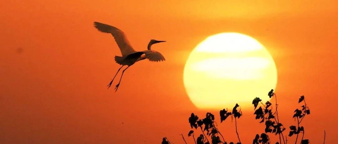 8618.5万人次！元旦假期短途游、周边游为主！95后、00后居多！