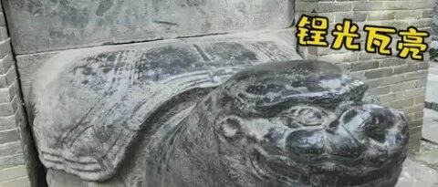 金庸纪念碑被游客摸出包浆！别再“盘它”了！