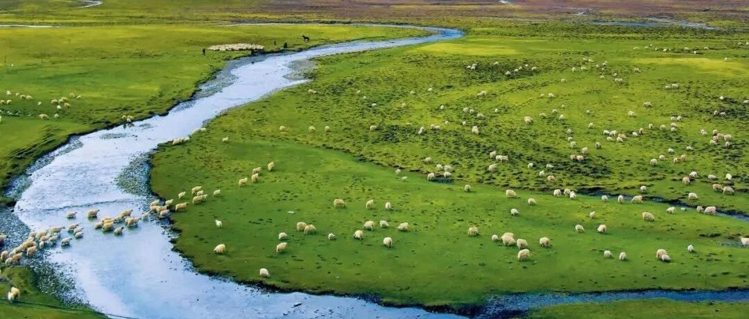 第一批国家公园可以进入游玩吗？