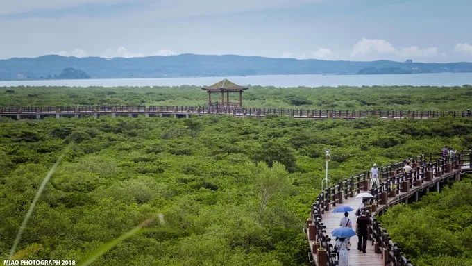 國內最特別的五座邊境城市 旅遊 第24張