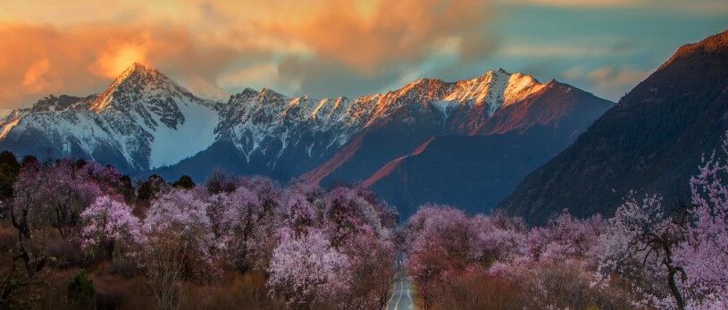 清明假期旅行趋势关键词发布！