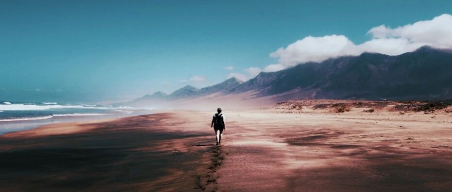 文化和旅游部：2020年度全国旅行社统计调查报告