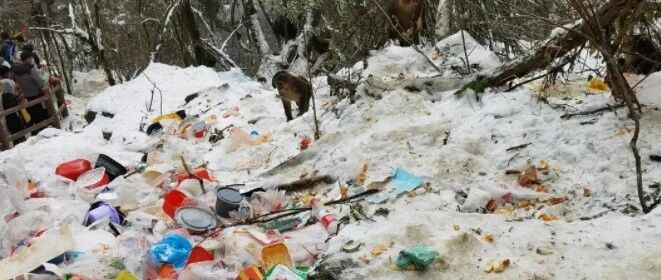 成都九峰山成“垃圾山”！官方回应了→