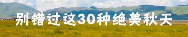 四川美成仙境啊啊啊啊！ 旅遊 第29張