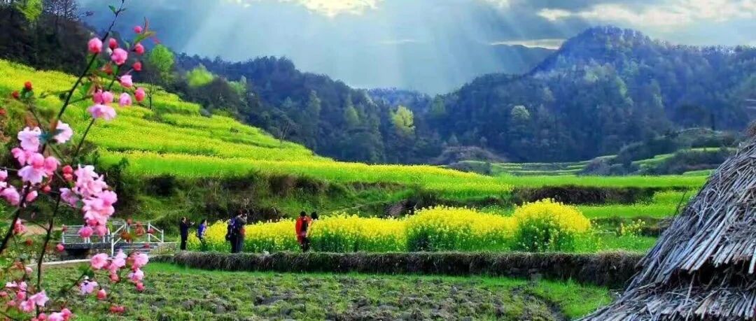 中央一号文件提出：实施乡村休闲旅游提升计划