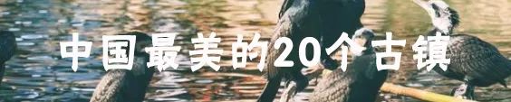 漳州，比廈門更值得去！ 旅遊 第21張