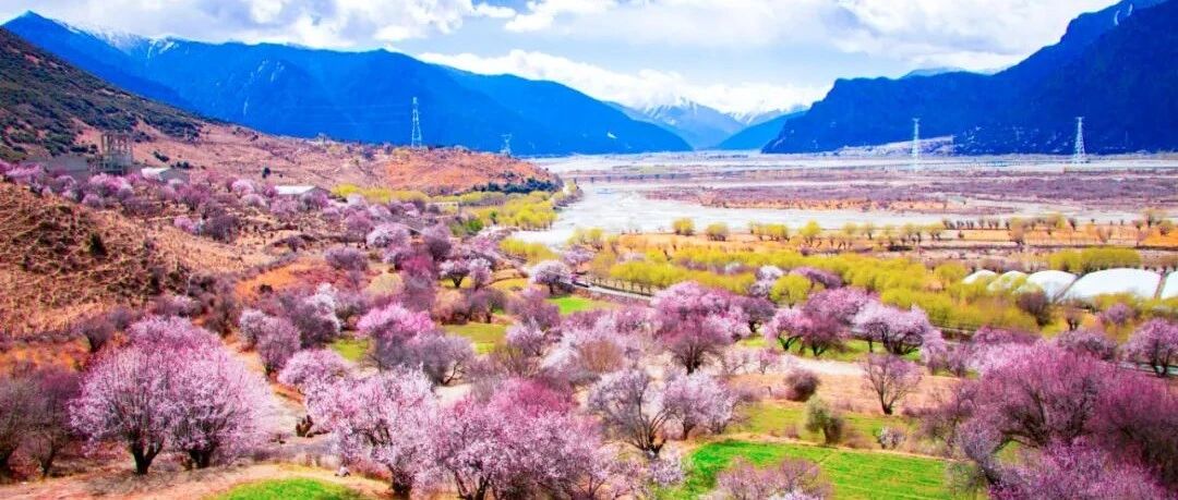 赏花、游园、露营去哪儿？这里有一份春季出行趋势报告