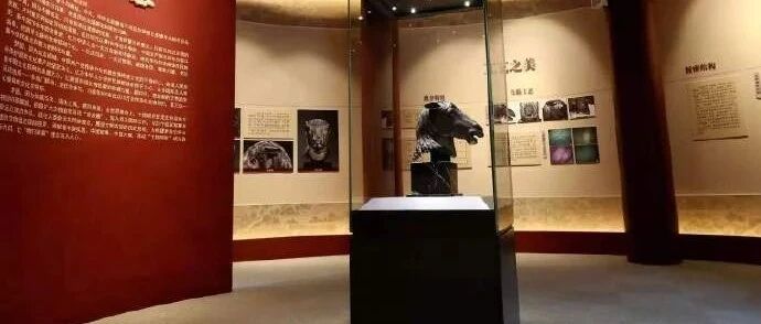 百余年颠沛流离，马首终于回家