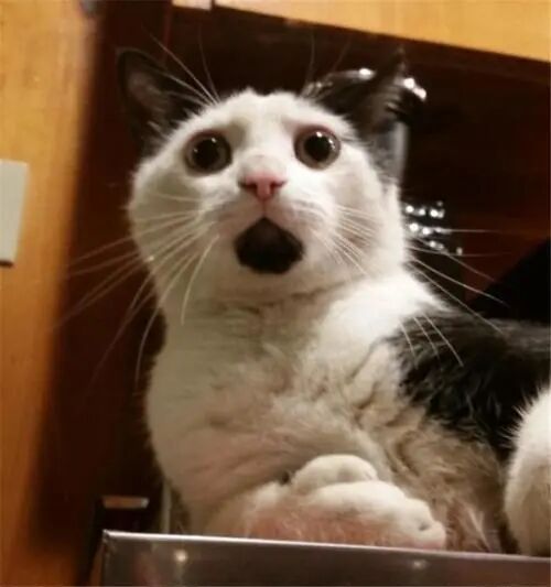 雅思查询成绩入口_雅思成绩查询_雅思查询成绩入口官网网址