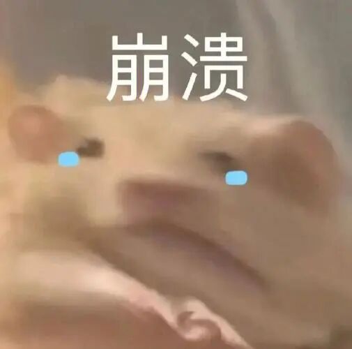 雅思查询成绩入口_雅思成绩查询_雅思查询成绩入口官网网址